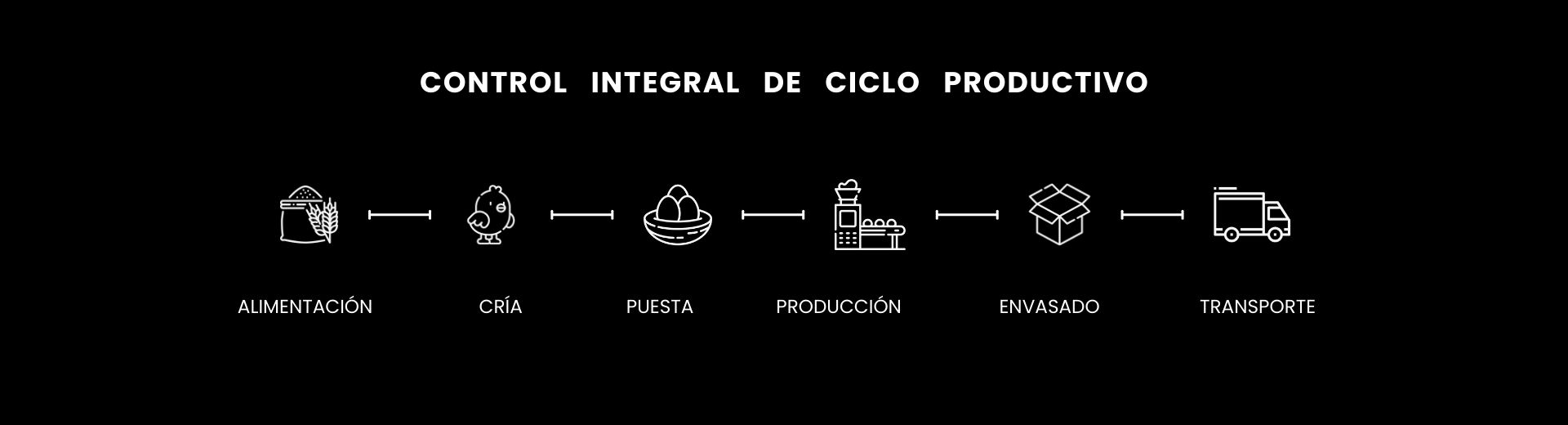 Infografía del ciclo productivo de la empresa Álvarez Camacho