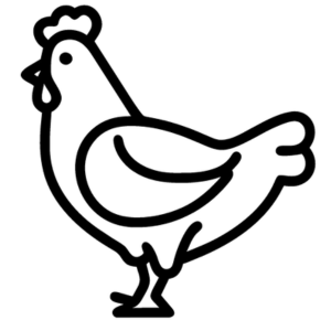 Icono gallina